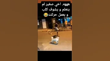 الاساطير الكونغ فو باندا 
