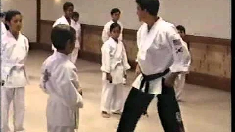 Austin St John Martial Arts Video