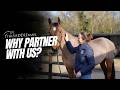 WHY PARTNER WITH US | HOW IT WORKS | THE SADDLE BANK