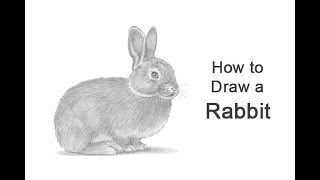 How to Draw a Rabbit