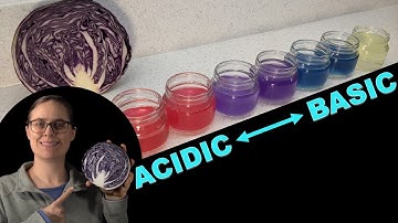 DIY Red Cabbage pH Indicator Experiment
