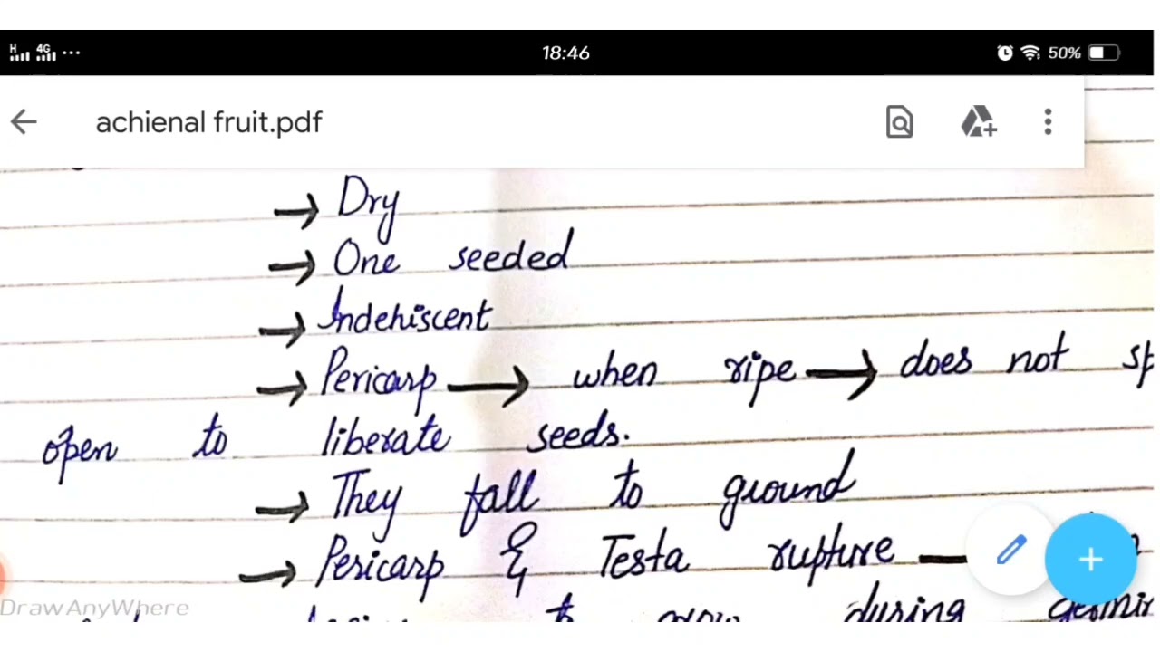 Achenial Fruit | Fruit types | Botany B