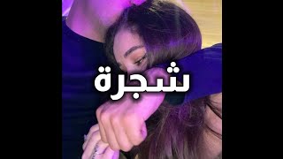 شجرة | سيف عامر | اسوو/ASOO