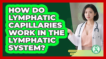 How Do Lymphatic Capillaries Work In The Lymphatic System? - Lymphoma Support Network