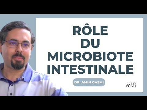 Fonctions du microbiote intestinal : digestion, absorption, immunité, barrière.