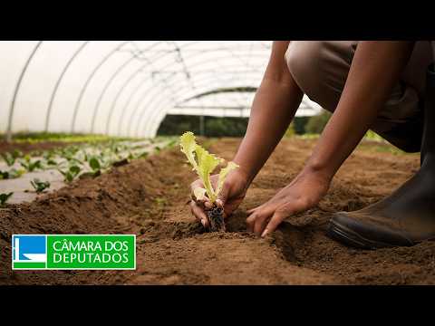 COMISSÃO DE AGRICULTURA, PECUÁRIA, ABASTECIMENTO E DESENVOLVIMENTO RURAL
