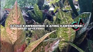 DJ Old Kaweni Merry x Ating Kaweni Merry full beat ~ Fikri Asia ft Rifky Fvnky