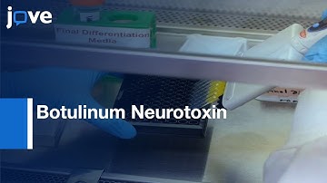 Botulinum Neurotoxin Inhibitors Identification by Imaging Assay | Protocol Preview