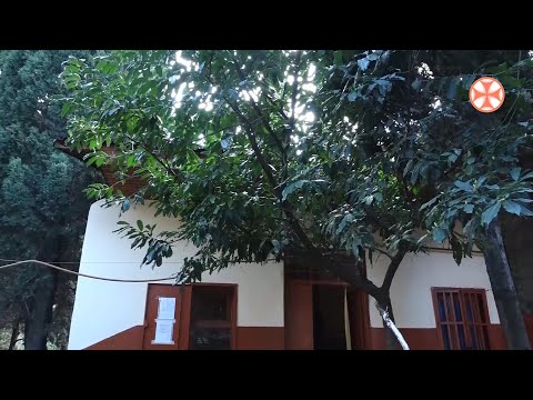 〇  საპატრიარქოს მოწყალების სახლის დაარსებიდან 2️⃣8️⃣ წელი გავიდა