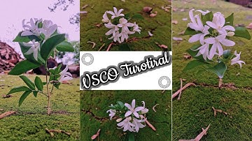 Valence filters vsco photo editor || Ep9