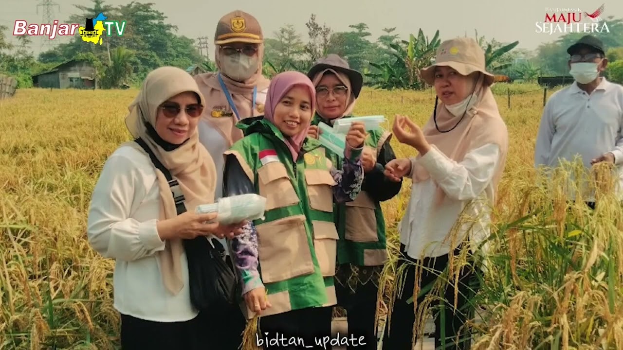 LAHAN PERTANIAN BANJARMASIN BERDASARKAN RT RW
