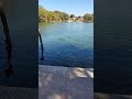 #fishing #trending #viralvideo
