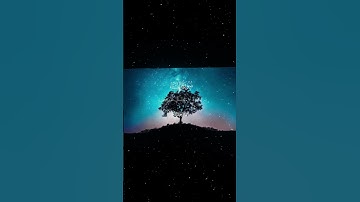 سورة النساء|27-28|القارئ:#محمد_اللحيدان #قران #quran #راحة_نفسية #قران_كريم #تلاوة_هادئة#تلاوة_خاشعة