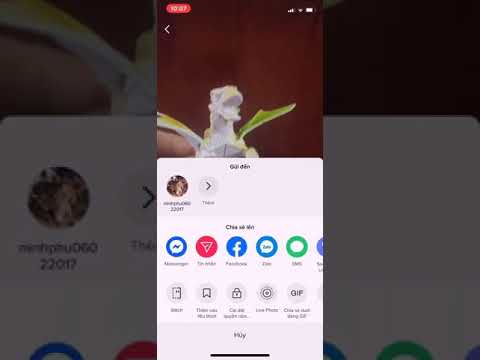 hình ảnh xóa video đã đăng trên tiktok