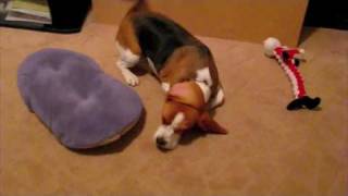 The Muttcracker