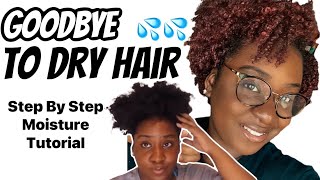 Moisturize Dry Natural Hair| Natural Hair Essentials| Includes Product Recommendations