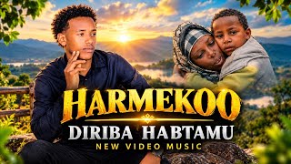 -HARMEE TOO- BY DIRRIBAA HABTAAMU NEW AFRICAN ETHIOPIAN OROMO MUSIC (2026) VIDEO 