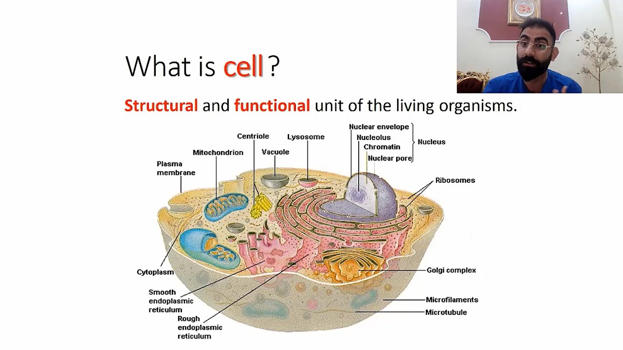 (طب النهرين) Cell Physiology lec 1 part 1