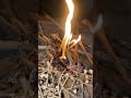النار لها شبابه 