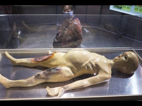 Video NASA công bố về người ngoài hành tinh - youtube