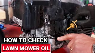 How To Check Lawn Mower Oil  Ace Hardware