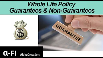 Your Future Secure: The Guarantees of Whole Life Insurance Policies
