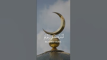 القارئ: ماهر المعيقلي السوره: النور (35)