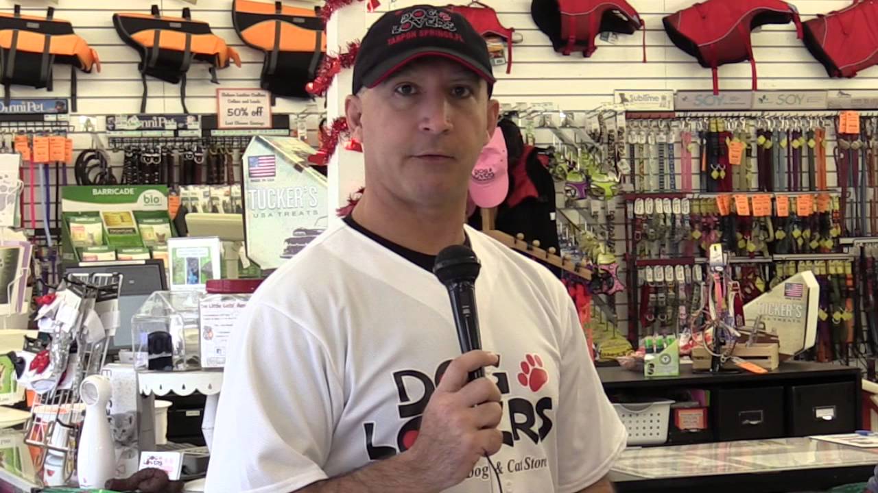 Dog & Cat Food Tarpon Springs FL Nature's Variety! Dog Lovers! YouTube