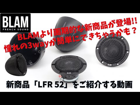 BLAM LFR 52 フルレンジスピーカー ミッドレンジ スコーカー ブラム ...