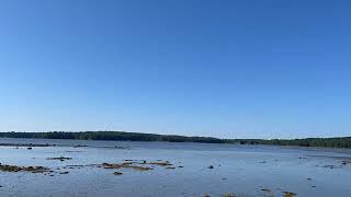 Broad Cove Low Tide - Time Lapse