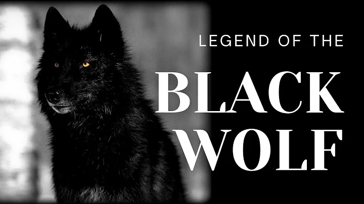 La Leyenda del Lobo Negro: Un encuentro místico con el poder divino