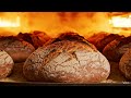 “From Wheat to Warm Loaf: The Complete Bread Production Journey