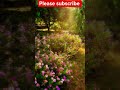 Relaxing Nature Scenery 4K 🌿 Peaceful River & Birds Sounds for Stress Relief