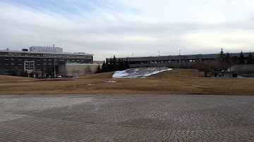 Parrot Bebop Drone with Skycontroller Test Flight