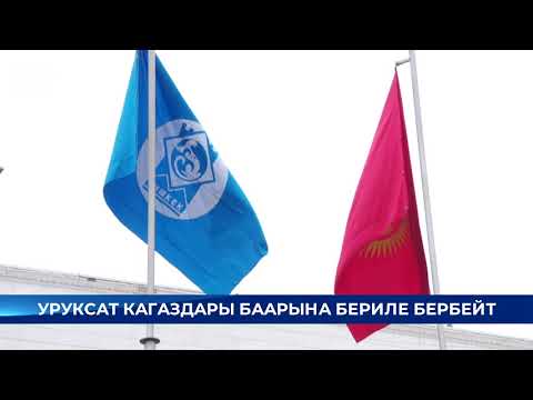 Video: Канча каникулга уруксат берилгенин кантип билсе болот