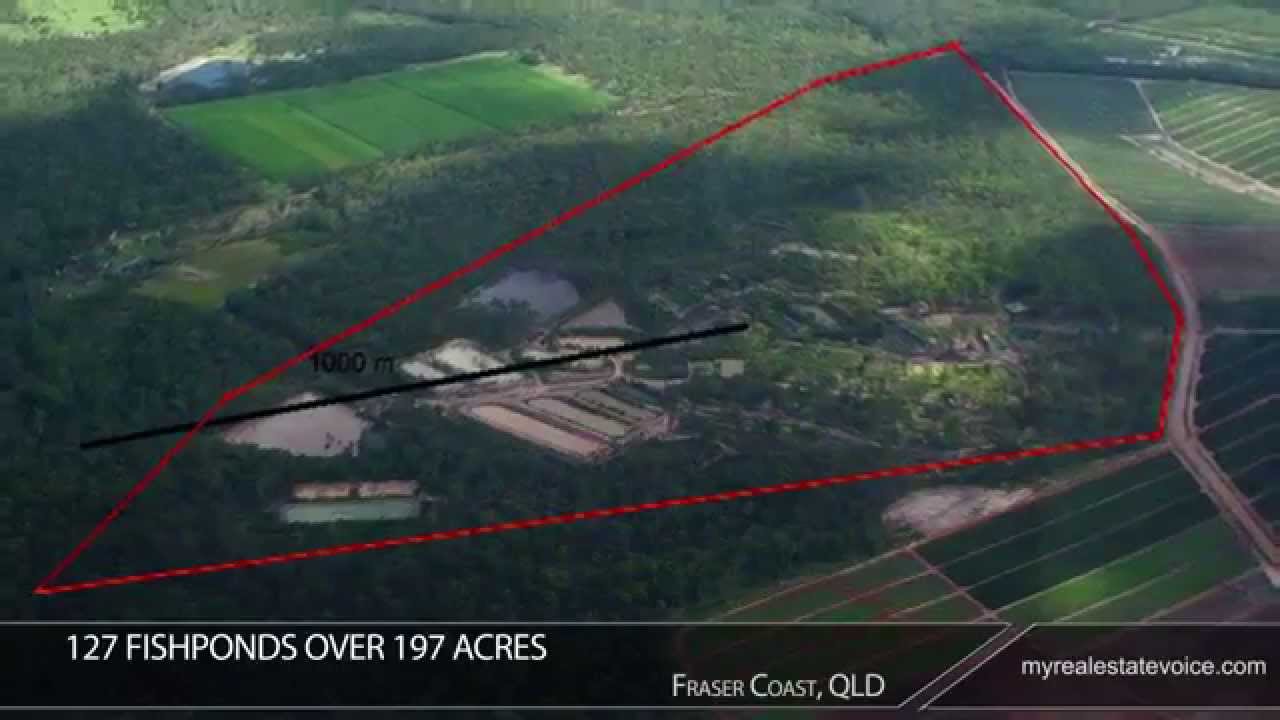 Fish Hatchery Business for Sale Fraser Coast, QLD YouTube