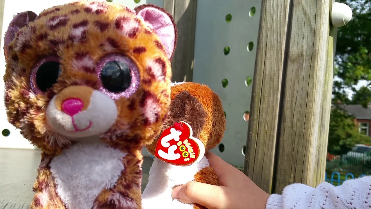 TY Beanie Boo Duke - YouTube