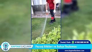 Peyzaj Bitkileri Ve Bahçe İlaçlaması