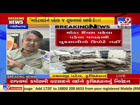 Govt not responsible for crop loss at market yards due to unseasonal rain: Guj Agriculture Minister