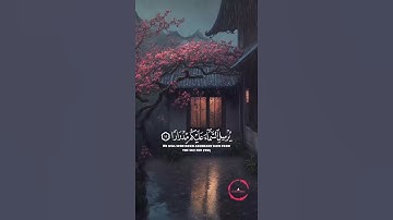 ارح قلبك 🤍 فقلت استغفروا ربكم إنه كان غفاراً 🤍سورة نوح🌸