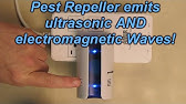 ultrasonic pest repeller bunnings - YouTube