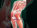 Facing nerve pain? Dr. Priya Rathi offers a safer, faster solution — the Nerve Block.