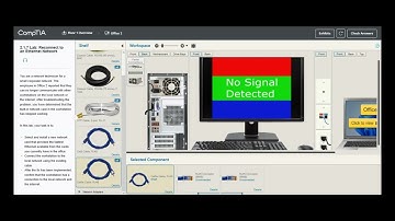 Testout | Network + | 2.1.7 Lab: Reconnect to an Ethernet Network