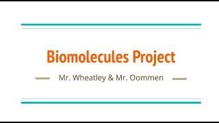 Biomolecules Project Overview screenshot 3