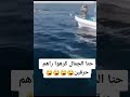 الجمل حارڨ في البوطي