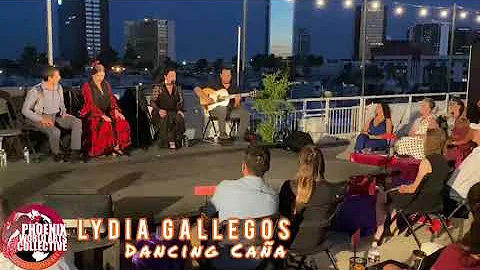 Pheonix World Arts Collective | Lydia Gallegos
