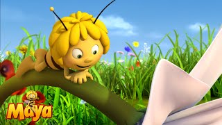 The golden bullet - Maya the Bee - YouTube