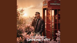 Сирень гүлү - Нурлан Насип
