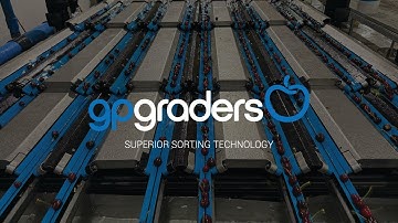 Cherry Grading Machinery in Curicó, Chile