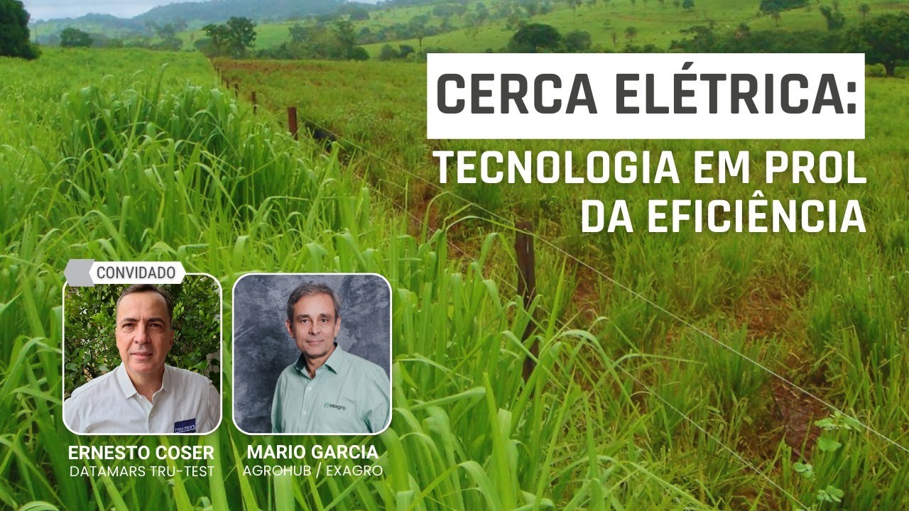 Vídeo #69 - Cerca elétrica: tecnologia em prol da eficiência